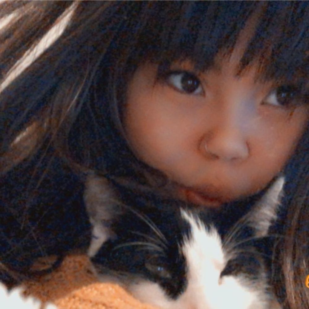 Meet your Posher, Harmonie